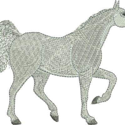 397027 Thumbnail