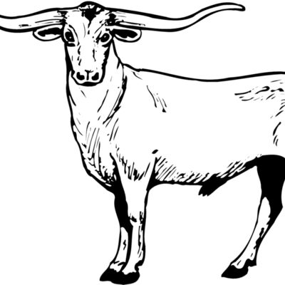 COW016 Thumbnail