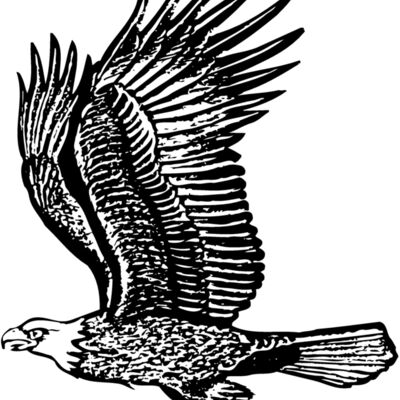 EAGLE012 Thumbnail