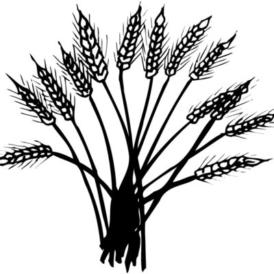 GRAIN015 Thumbnail